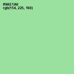 #9AE1A0 - Granny Smith Apple Color Image