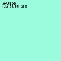 #9AFBDD - Riptide Color Image