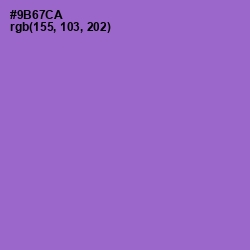 #9B67CA - Amethyst Color Image