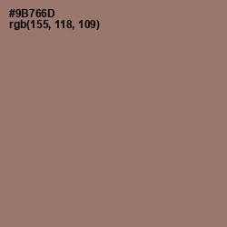 #9B766D - Almond Frost Color Image