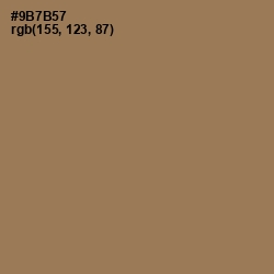 #9B7B57 - Leather Color Image