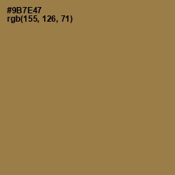 #9B7E47 - Leather Color Image