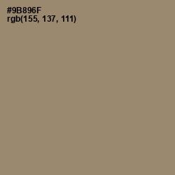 #9B896F - Arrowtown Color Image