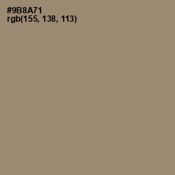 #9B8A71 - Pale Oyster Color Image