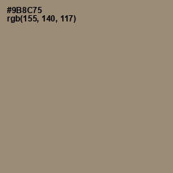 #9B8C75 - Pale Oyster Color Image