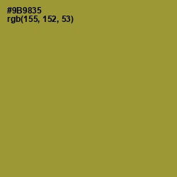 #9B9835 - Sycamore Color Image