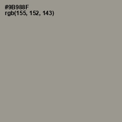 #9B988F - Lemon Grass Color Image