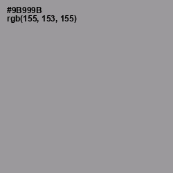 #9B999B - Star Dust Color Image
