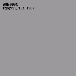 #9B999C - Star Dust Color Image