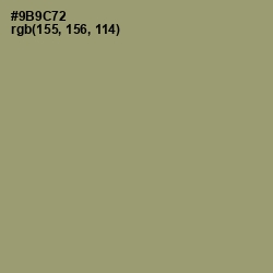 #9B9C72 - Gurkha Color Image