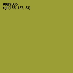 #9B9D35 - Sycamore Color Image