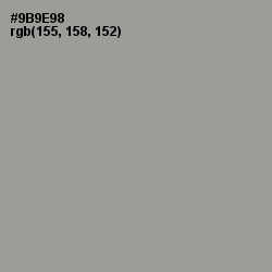 #9B9E98 - Star Dust Color Image