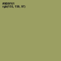 #9B9F61 - Gurkha Color Image