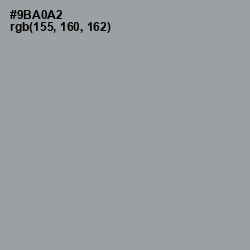 #9BA0A2 - Pewter Color Image