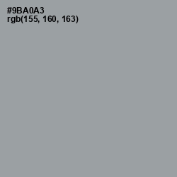 #9BA0A3 - Pewter Color Image