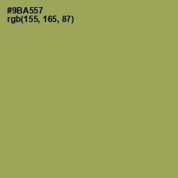 #9BA557 - Chelsea Cucumber Color Image