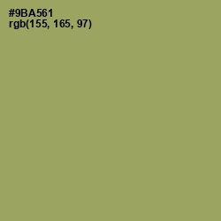 #9BA561 - Olivine Color Image