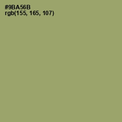 #9BA56B - Olivine Color Image