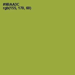 #9BAA3C - Sushi Color Image