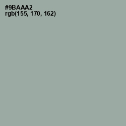 #9BAAA2 - Pewter Color Image