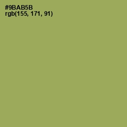 #9BAB5B - Chelsea Cucumber Color Image