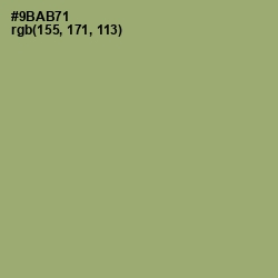 #9BAB71 - Olivine Color Image