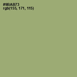 #9BAB73 - Olivine Color Image