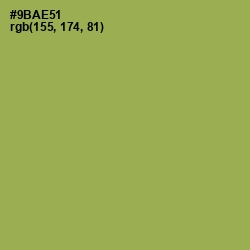 #9BAE51 - Chelsea Cucumber Color Image