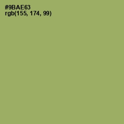 #9BAE63 - Olivine Color Image