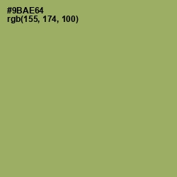 #9BAE64 - Olivine Color Image