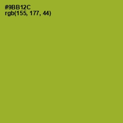 #9BB12C - Sushi Color Image