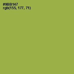 #9BB147 - Chelsea Cucumber Color Image