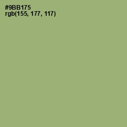 #9BB175 - Olivine Color Image