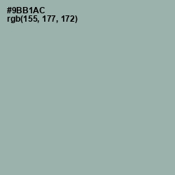 #9BB1AC - Summer Green Color Image