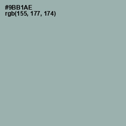 #9BB1AE - Summer Green Color Image