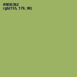 #9BB362 - Olivine Color Image