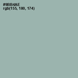 #9BB4AE - Summer Green Color Image