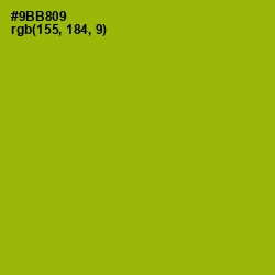#9BB809 - Citron Color Image