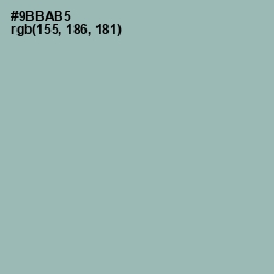 #9BBAB5 - Summer Green Color Image