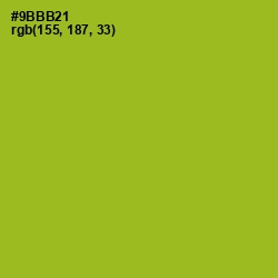 #9BBB21 - Sushi Color Image