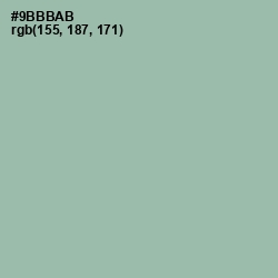 #9BBBAB - Summer Green Color Image