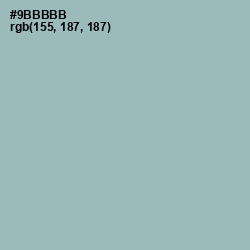 #9BBBBB - Gull Gray Color Image