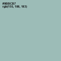 #9BBCB7 - Summer Green Color Image