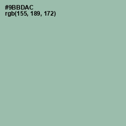 #9BBDAC - Summer Green Color Image