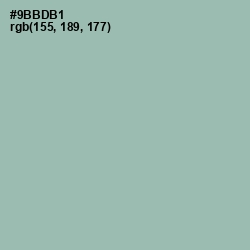 #9BBDB1 - Summer Green Color Image