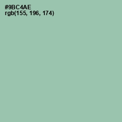 #9BC4AE - Shadow Green Color Image