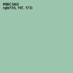 #9BC5AD - Shadow Green Color Image