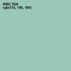 #9BC7BA - Shadow Green Color Image