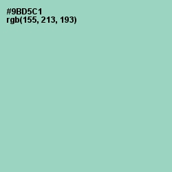 #9BD5C1 - Sinbad Color Image