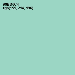 #9BD6C4 - Sinbad Color Image